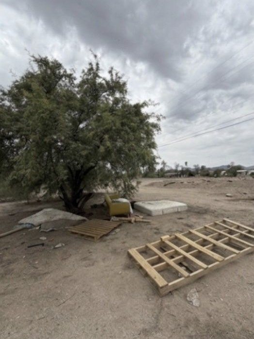 Desert lot with a discarded couch, mattress and wooden pallets beneath a mesquite tree